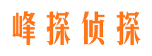 平桥市侦探公司